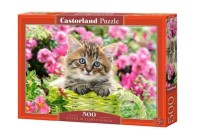 Пазл 500 деталей "Котёнок в цветочном саду"(Castorland)